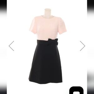 Kate Spade Soft Pink and Black Dress